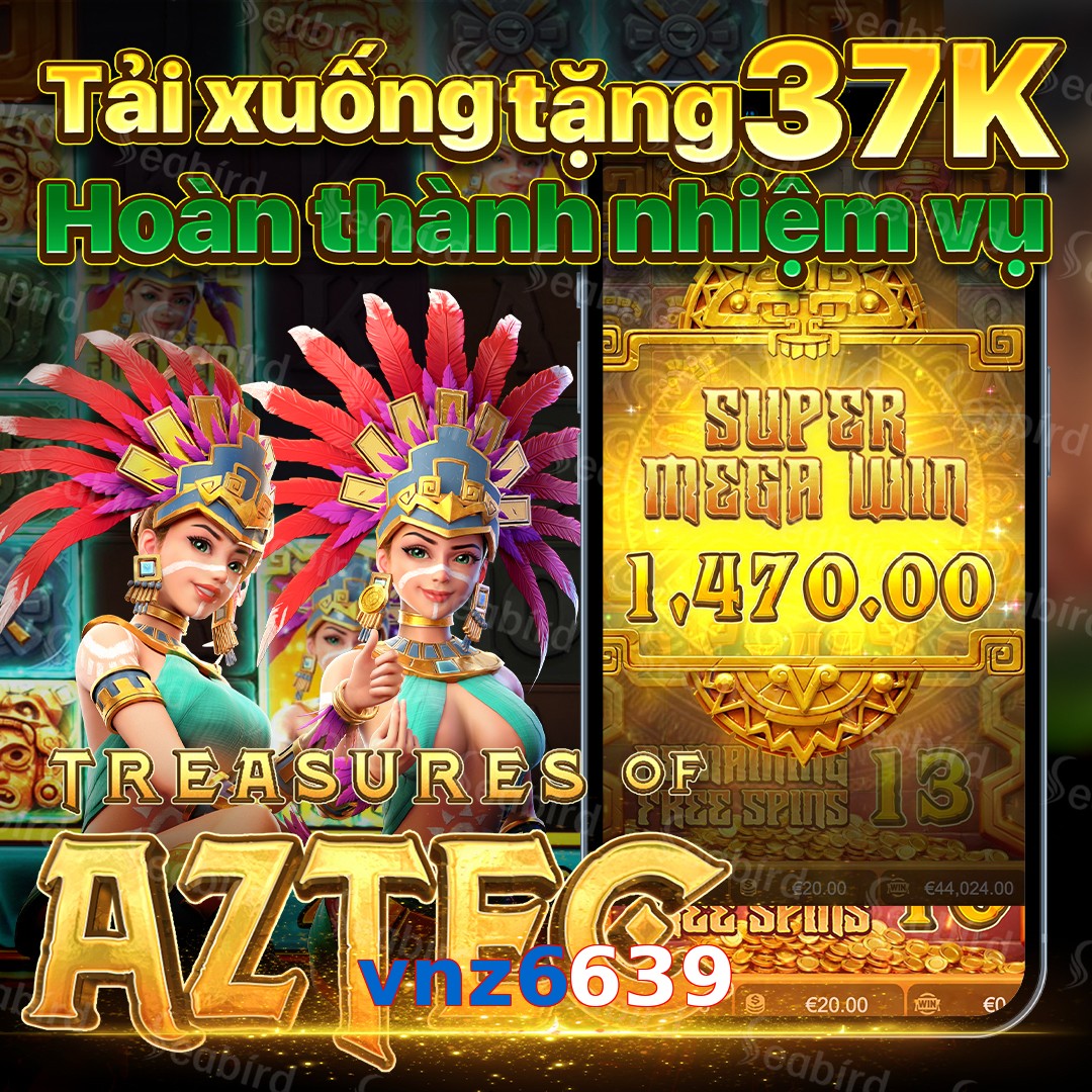 vnz6639