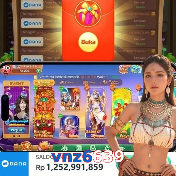 vnz6639