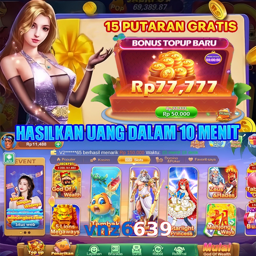 vnz6639