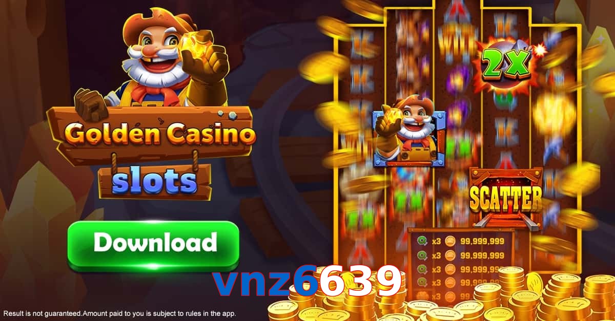 vnz6639