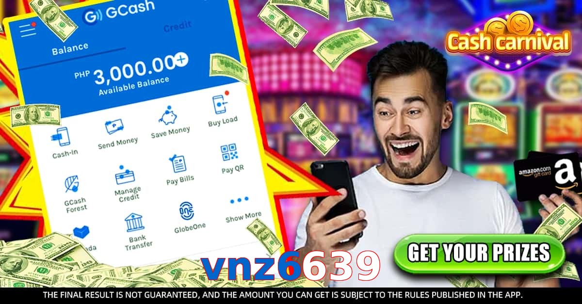 vnz6639
