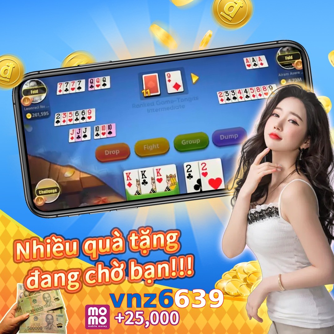 vnz6639