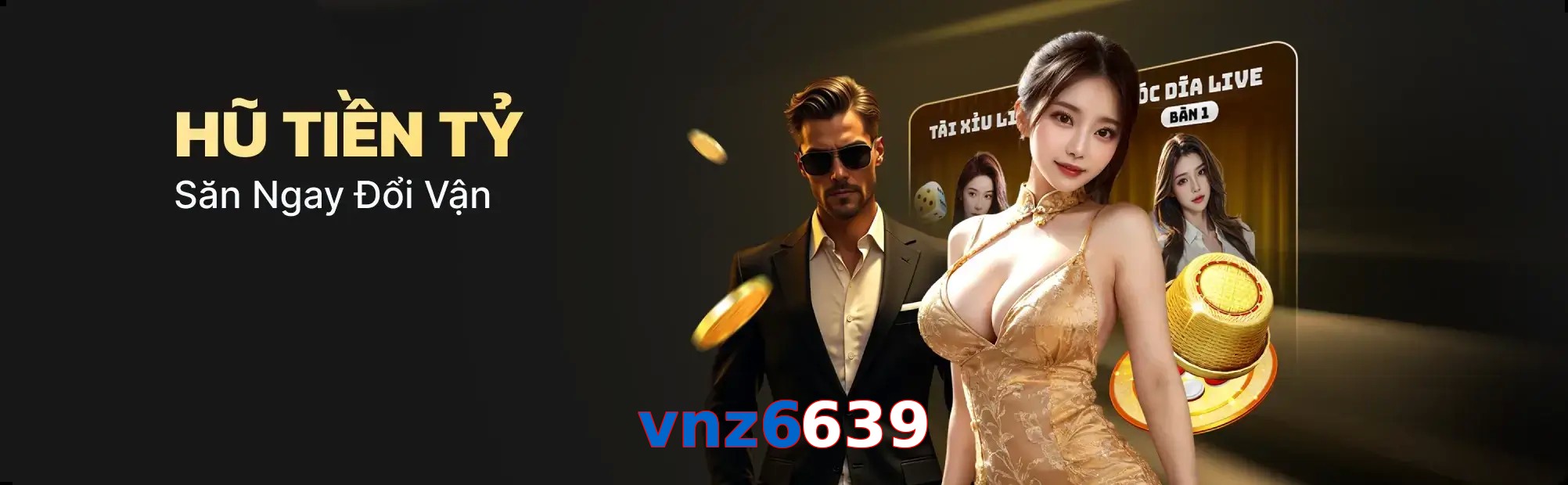 vnz6639