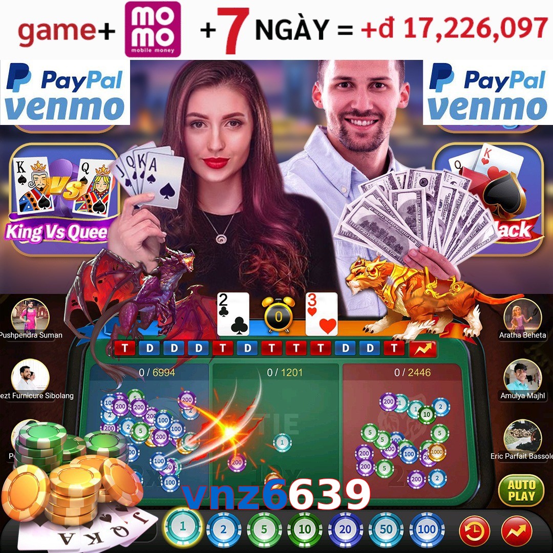 vnz6639