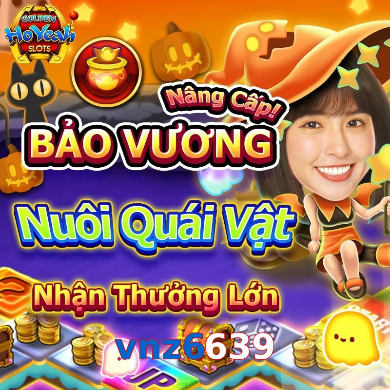 vnz6639