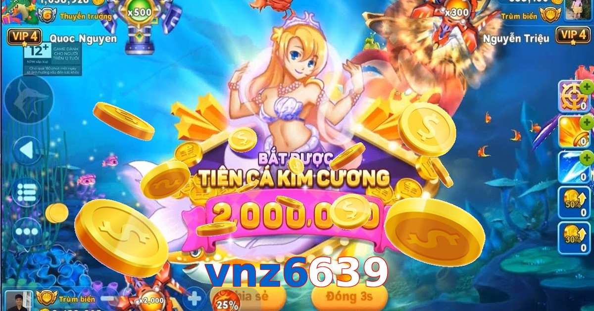 vnz6639