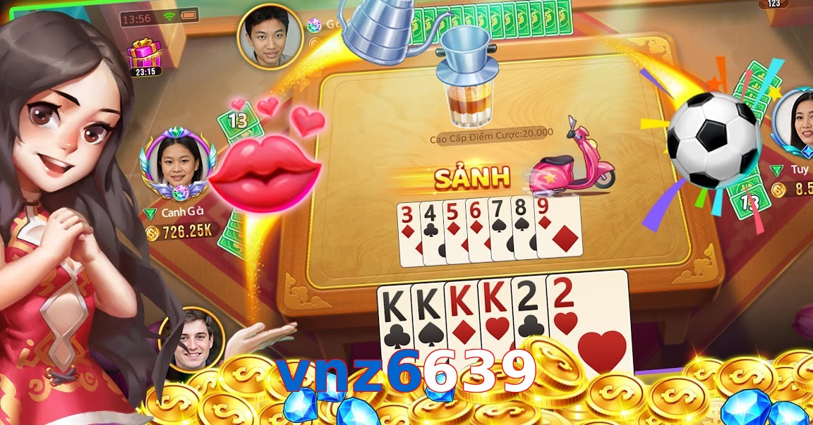 vnz6639