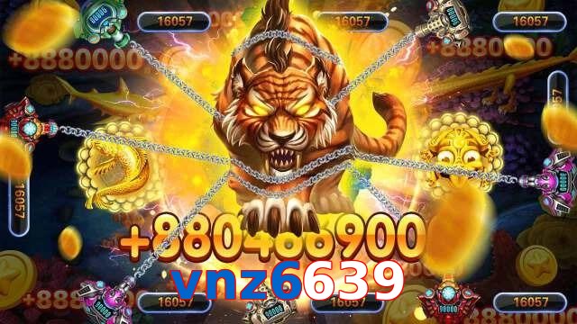 vnz6639