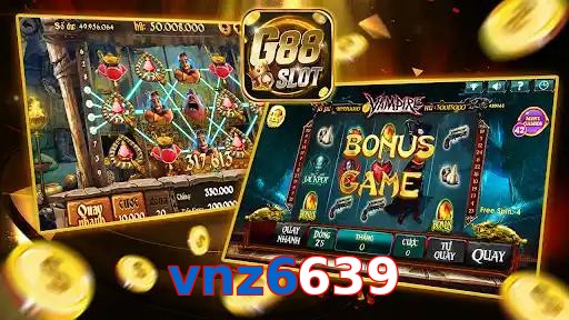 vnz6639