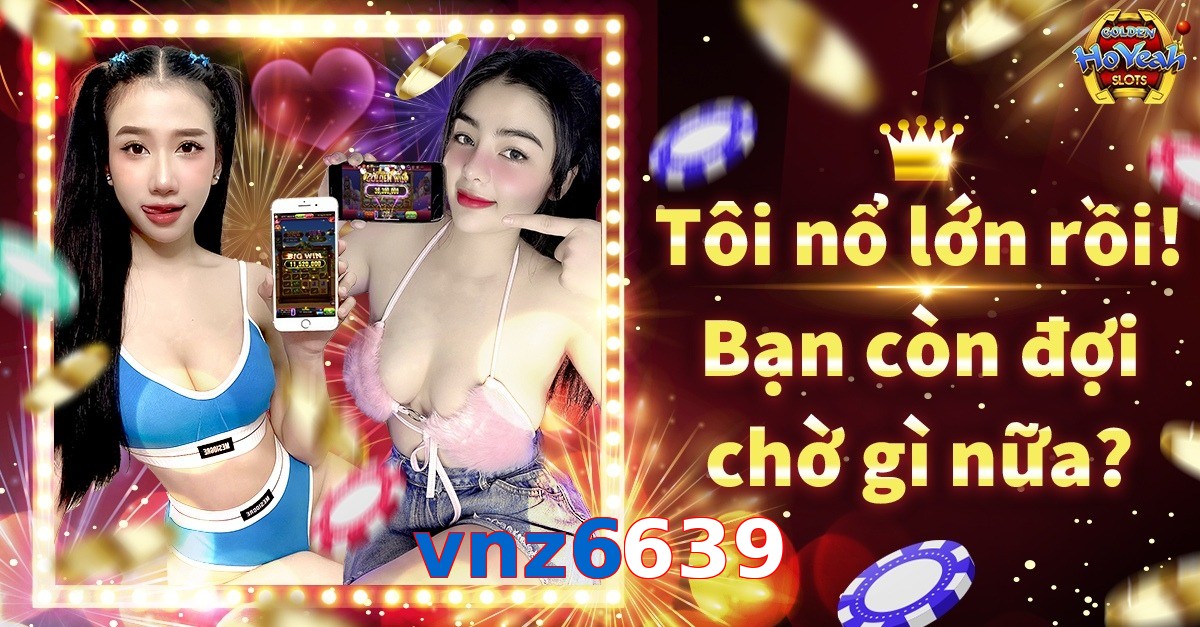vnz6639