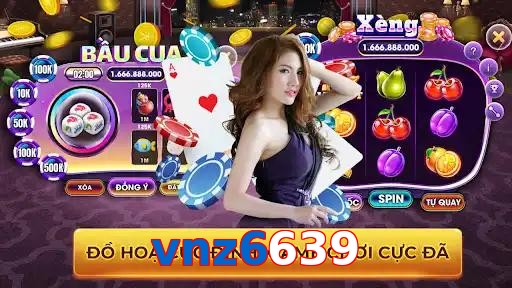 vnz6639