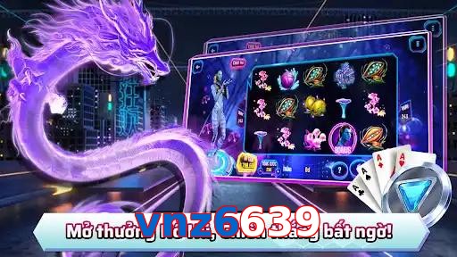 vnz6639