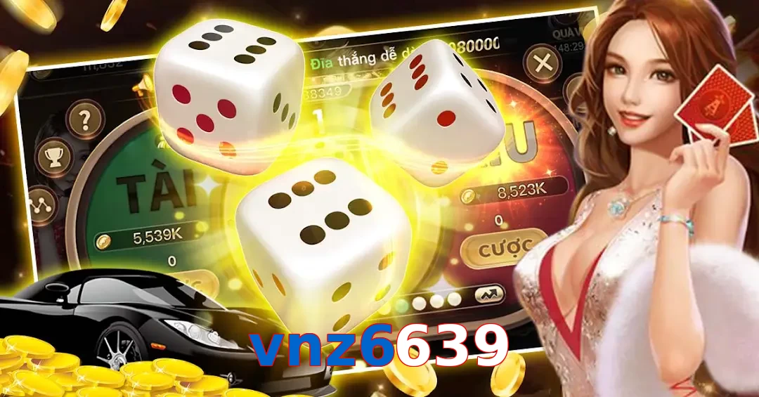 vnz6639