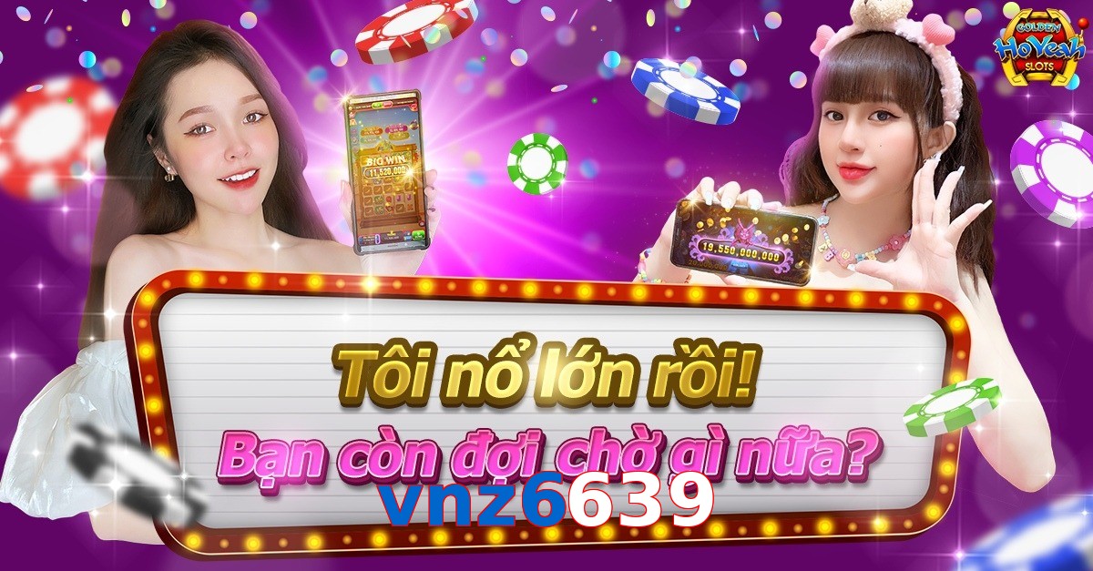 vnz6639