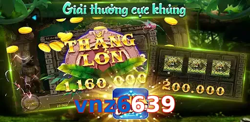 vnz6639