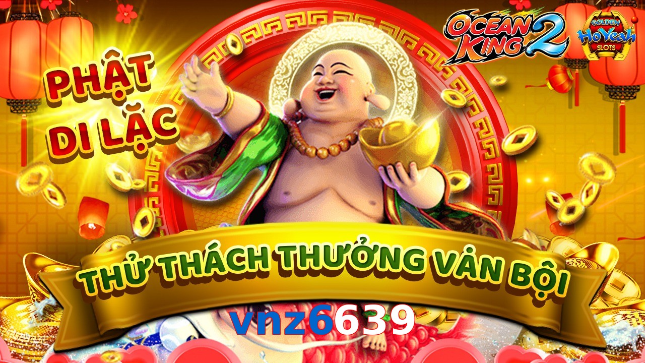 vnz6639