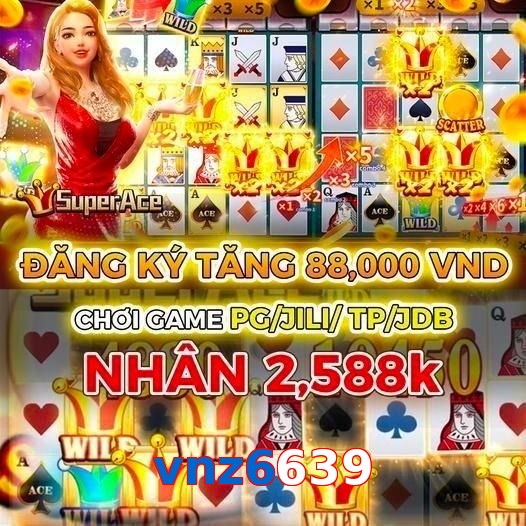 vnz6639