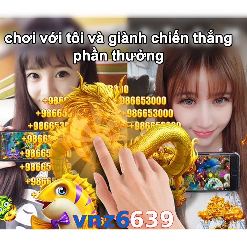 vnz6639