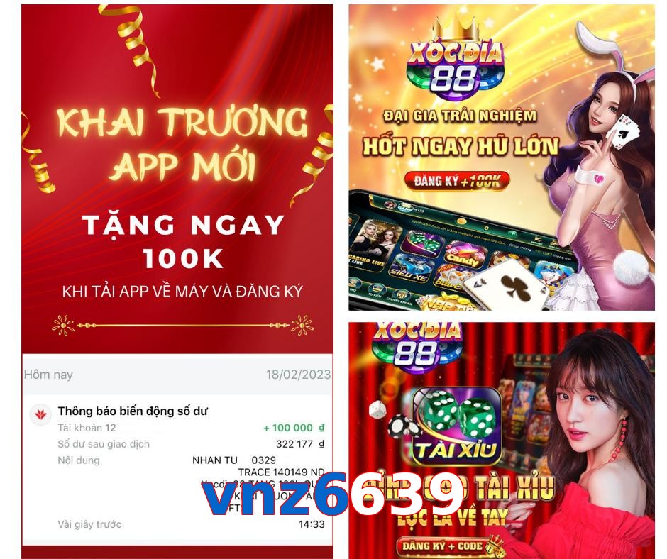 vnz6639