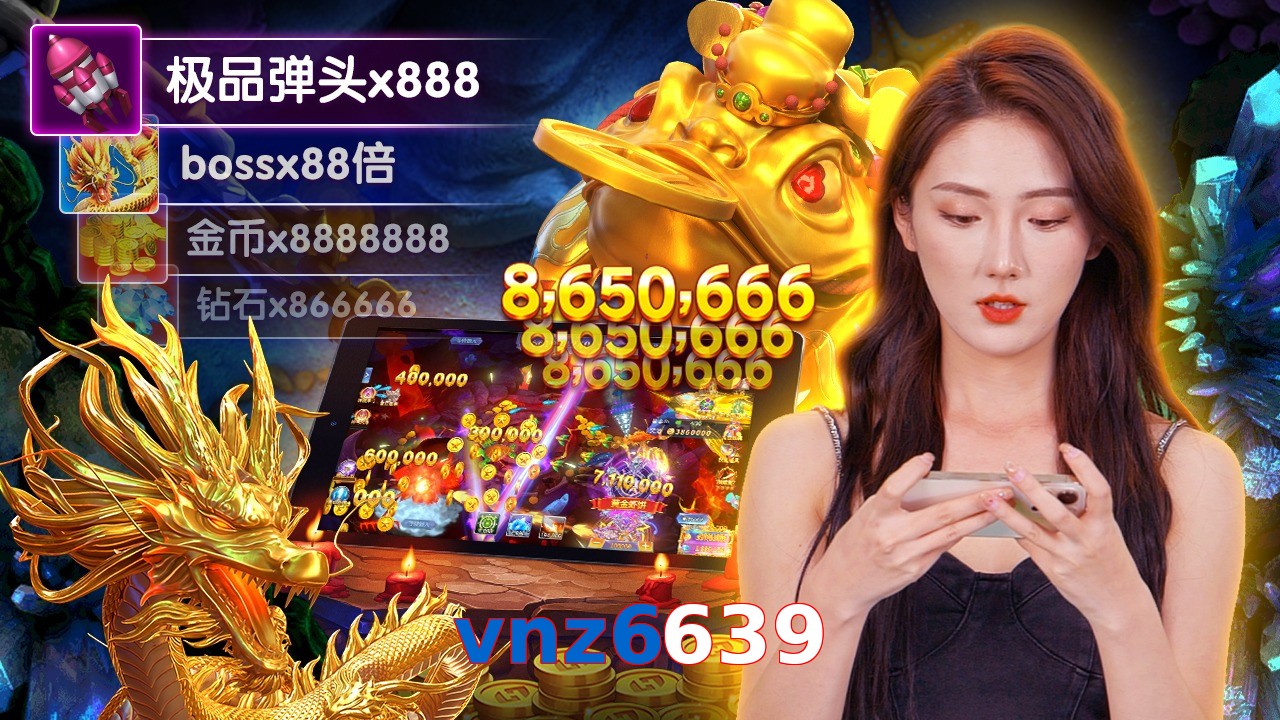 vnz6639